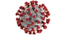 Image of a virus